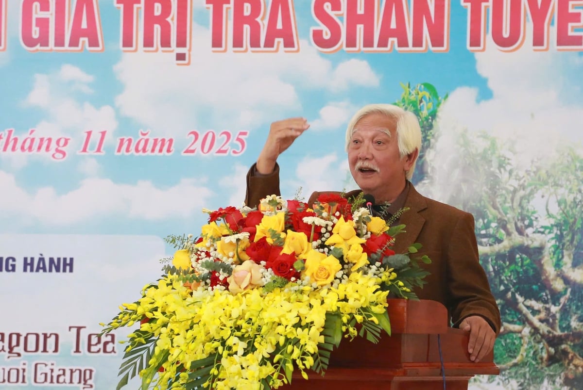 Tại hội thảo, các chuyên gia đánh giá trà shan tuyết không chỉ là sản phẩm nông nghiệp đơn thuần mà còn đóng vai trò cầu nối trong phát triển du lịch và bảo tồn văn hóa bản địa. Ảnh: Thanh Ngà.