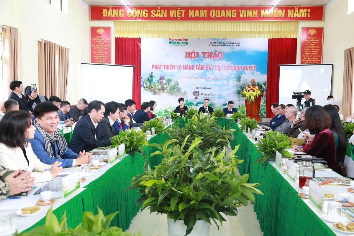 Hội thảo là dịp kết nối giữa chính quyền, doanh nghiệp và cộng đồng yêu trà, góp phần lan tỏa giá trị văn hóa độc đáo của trà shan tuyết. Ảnh: Thanh Ngà.