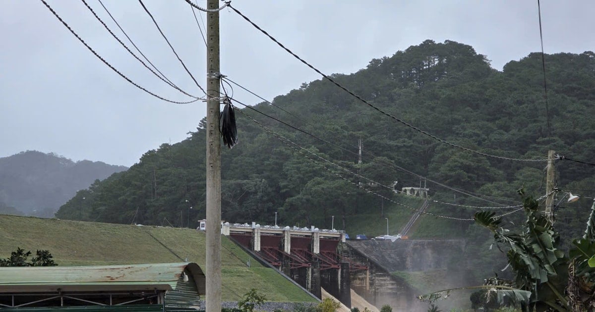 Yêu cầu các thủy điện trên sông Đồng Nai vận hành thoát nước, tạo dung tích phòng lũ cho hạ du