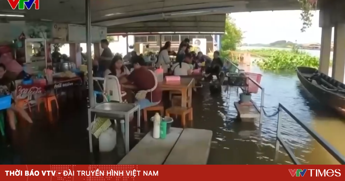 Trải nghiệm ăn uống giữa đàn cá trong quán ngập nước ở Thái Lan