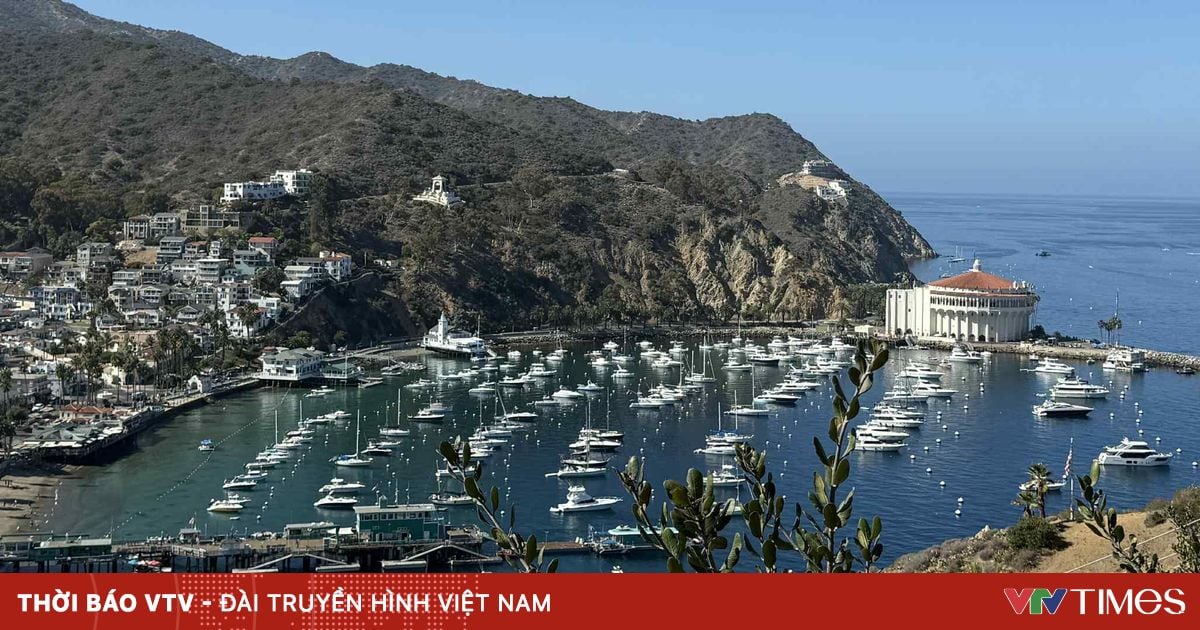 Một ngày bình yên trên đảo Santa Catalina