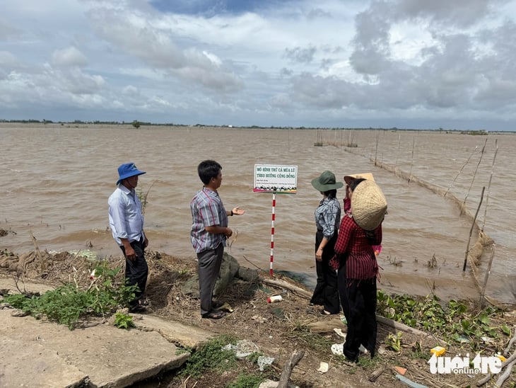 đồng nước nổi - Ảnh 3.