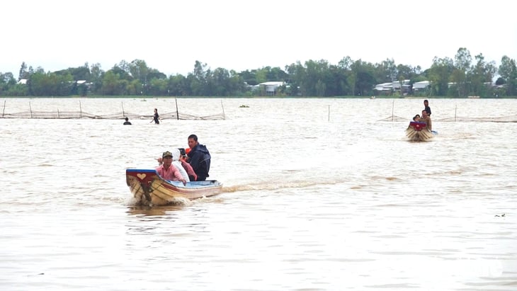 Nông dân miền Tây chở khách tham quan đồng nước nổi bằng vỏ lãi - Ảnh 5.
