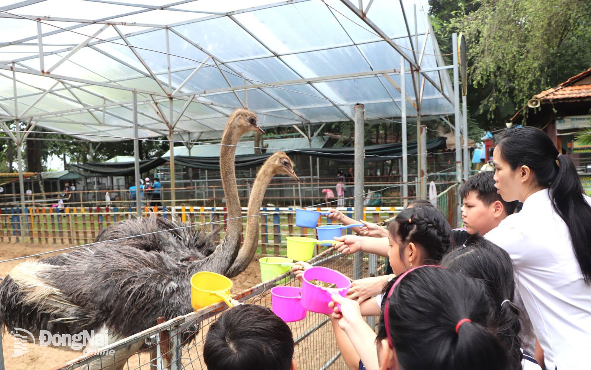 Thăm vườn thú, làm thức ăn và cho thú ăn được học sinh nhiệt tình tham gia. Ảnh: Ngọc Liên
