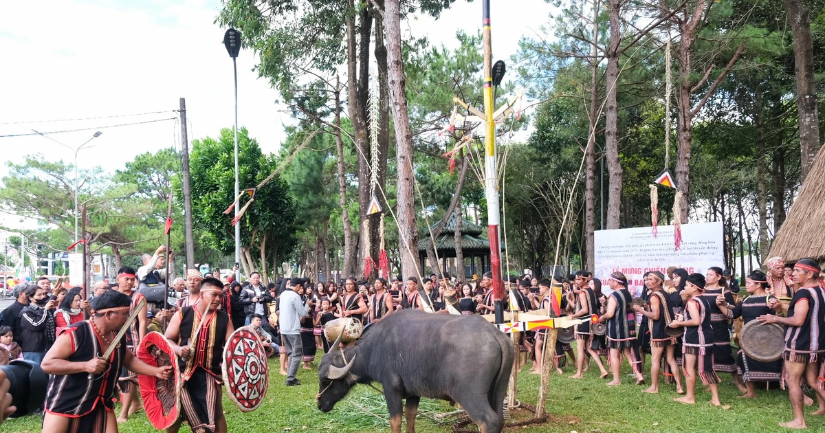 Người Bahnar tái hiện lễ mừng chiến thắng giữa lòng phố núi