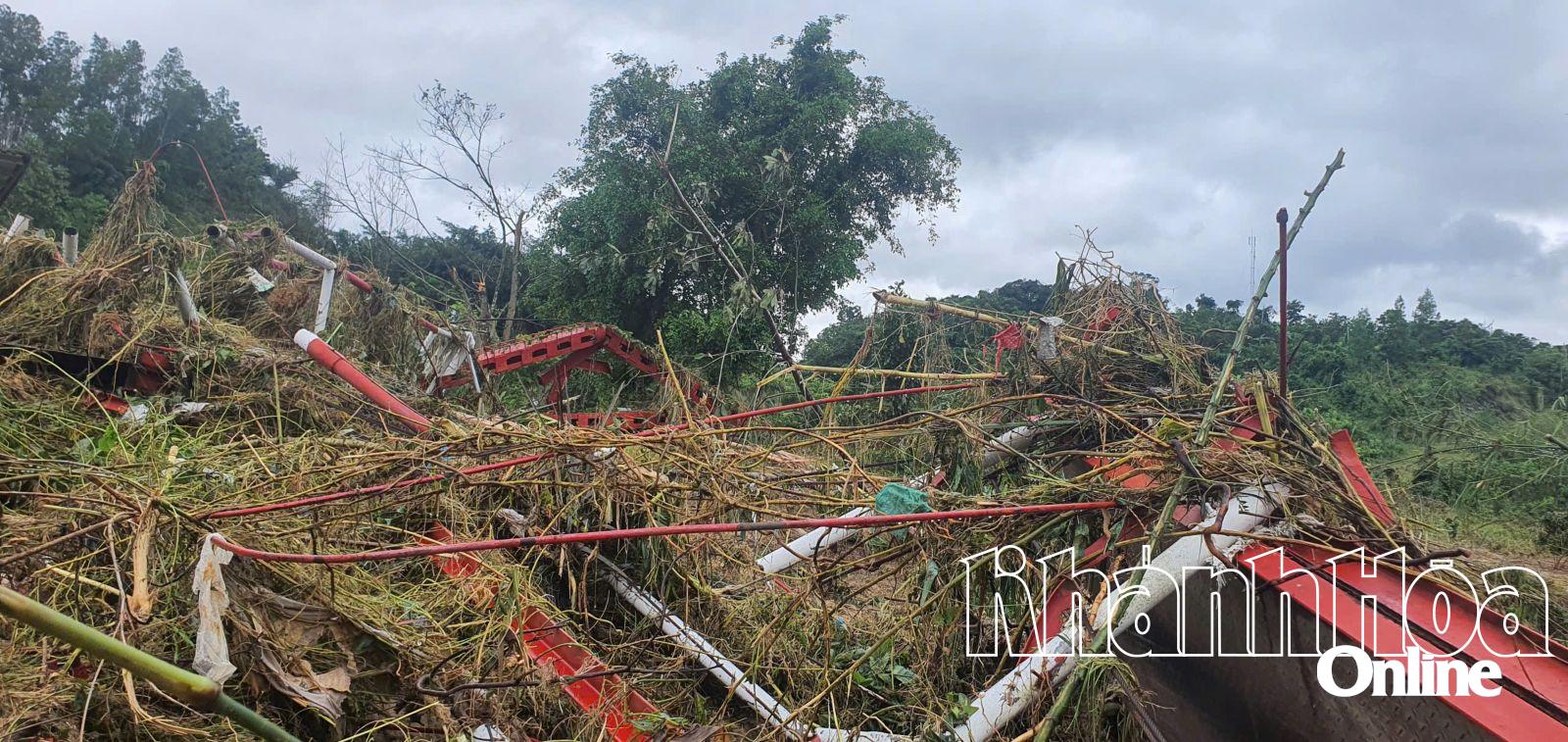 Die Überreste der Hängebrücke liegen zwischen verschiedenen Bäumen, die von der Flut ans Flussufer gespült wurden.