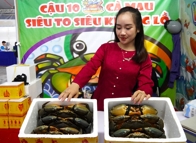 Ngày hội cua Cà Mau 2025: Dấu ấn mới cho thương hiệu địa phương

- Ảnh 4.