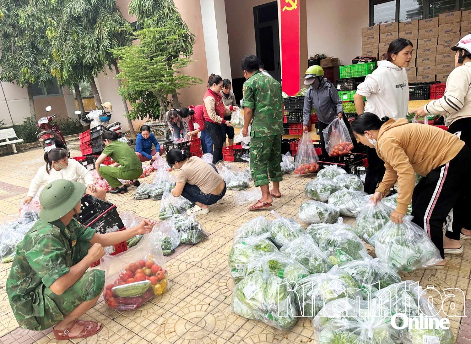 Die Behörden des Bezirks Dong Hai sortieren Gemüsesorten, die an Menschen in gefährdeten und überschwemmten Gebieten verteilt werden sollen.