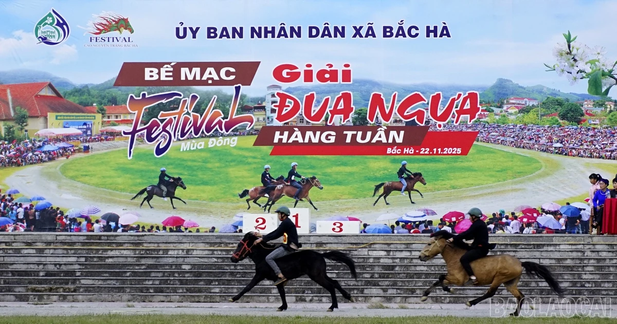 Chung kết Giải đua ngựa hàng tuần Bắc Hà