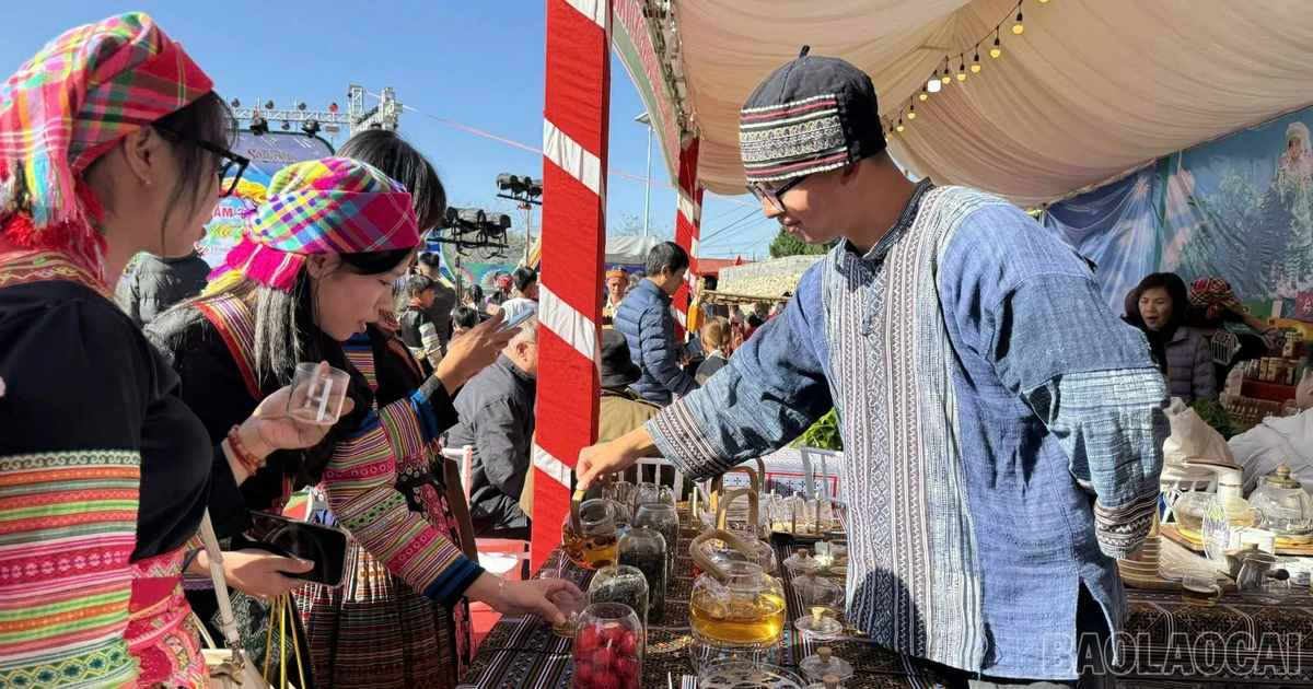 Độc đáo Hội chợ sản vật vùng cao và không gian trưng bày sản phẩm trà Shan tuyết