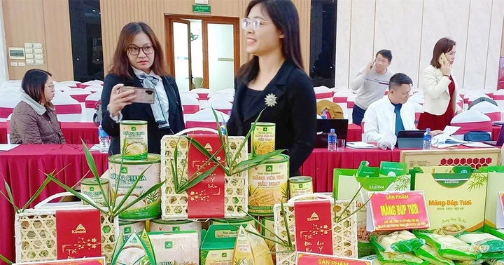 Từ tinh hoa bản Mường đến ngôi sao OCOP Quốc gia