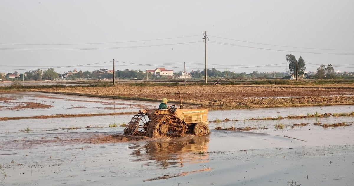 Tái cơ cấu ngành nông nghiệp tiếp tục là nhiệm vụ ưu tiên