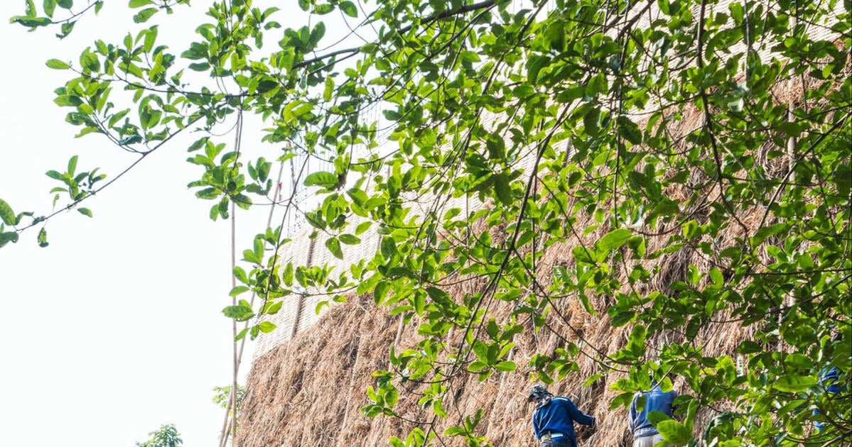 Đổi mới sáng tạo để bảo tồn di sản