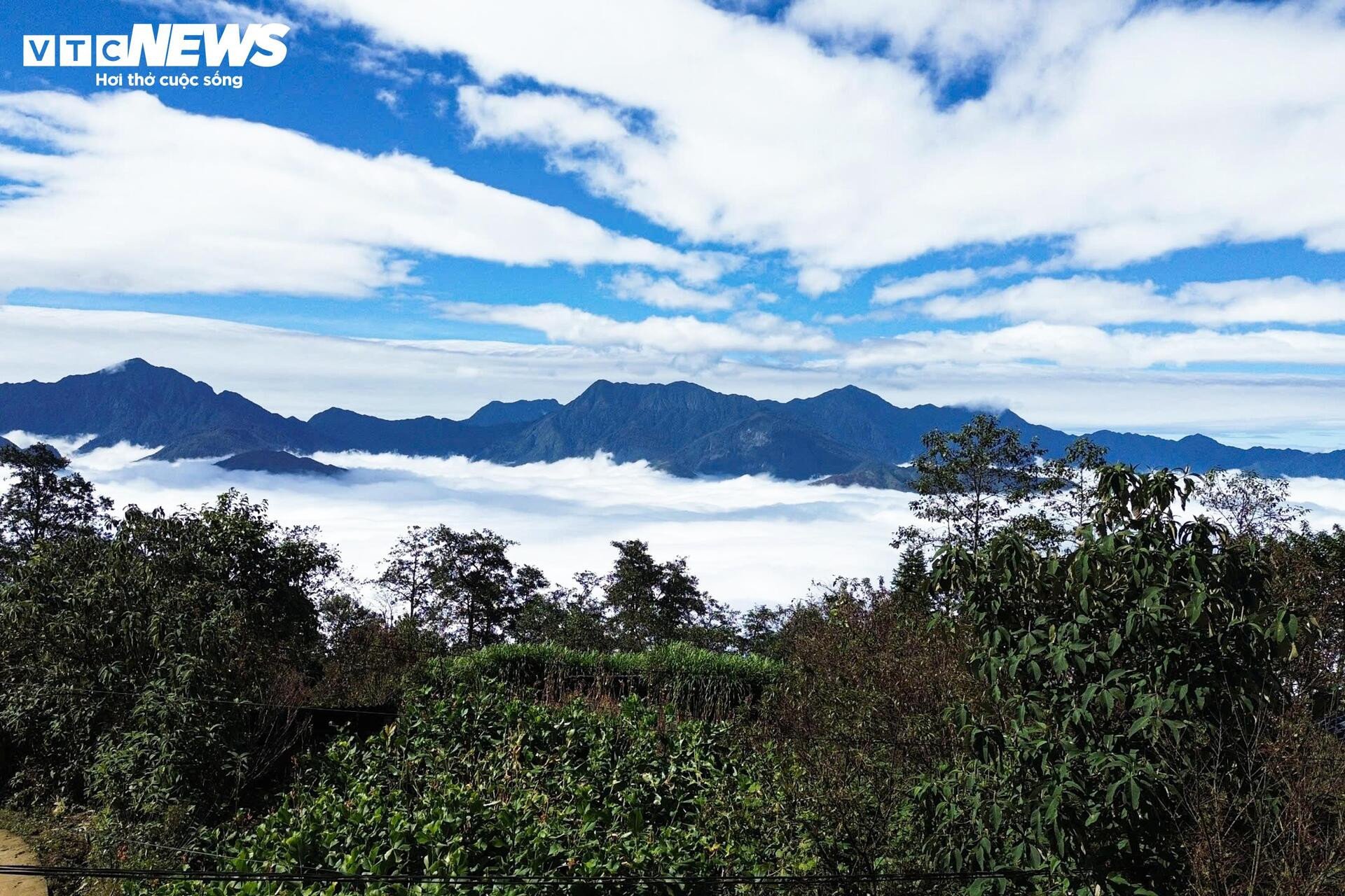 Y Ty in the most beautiful cloud season, Ngai Thau Thuong village turns into a rolling white sea - 2