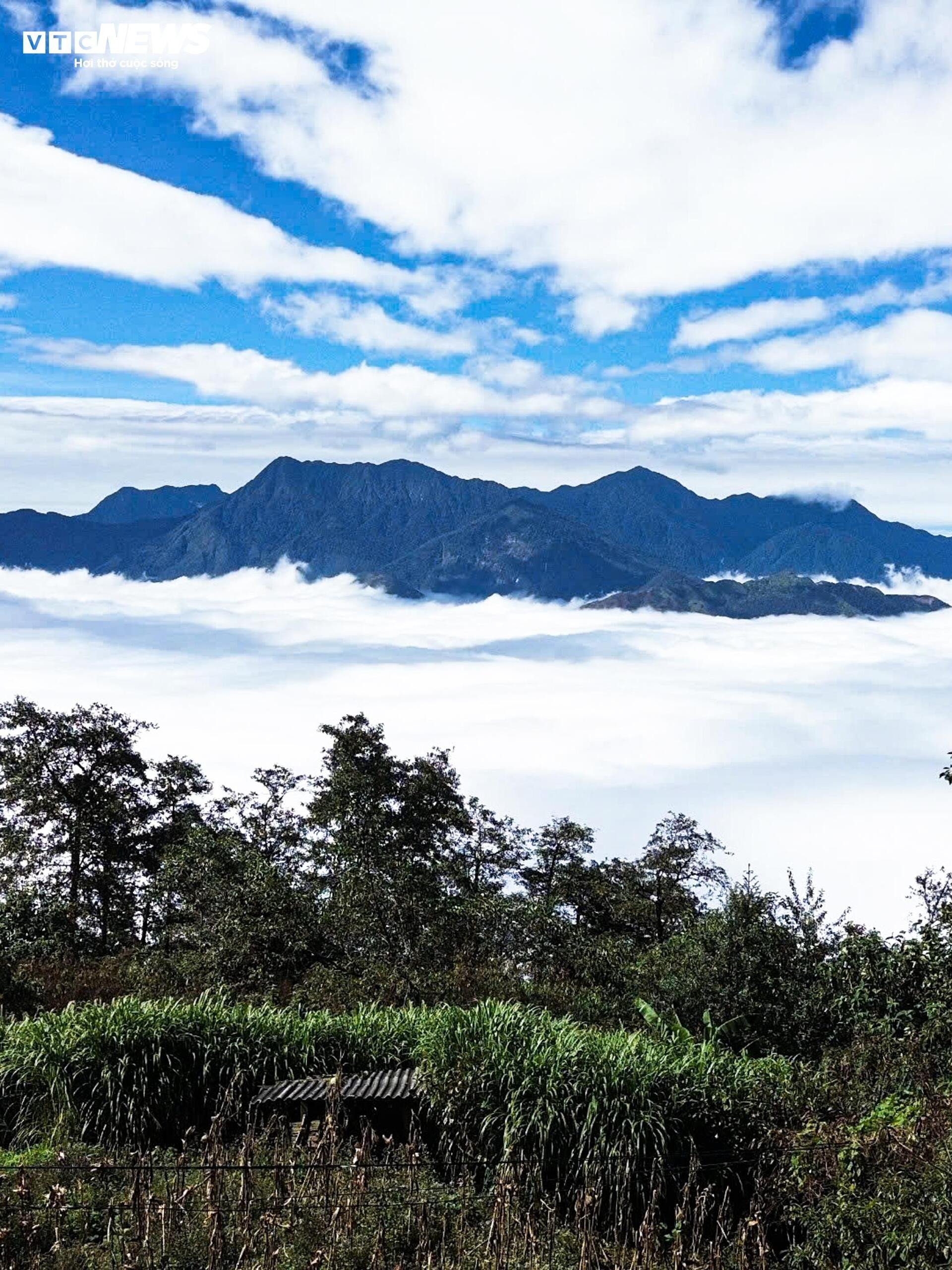 Y Ty in the most beautiful cloud season, Ngai Thau Thuong village turns into a rolling white sea - 3