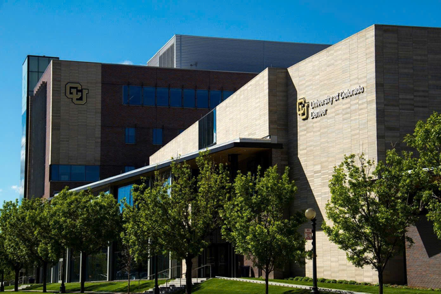 Cơ hội nhận bằng MBA từ trường thuộc top 5% Hoa Kỳ ngay tại Việt Nam- Ảnh 1.