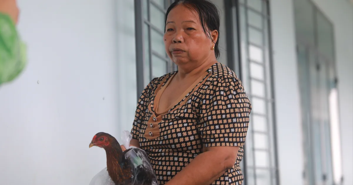 "Có lúc chúng tôi định buông tay theo dòng lũ”