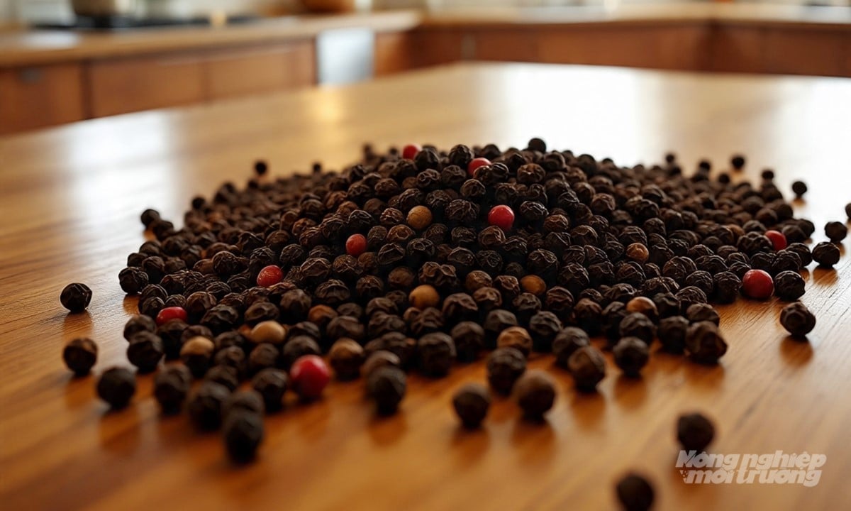 Giá tiêu hôm nay 23/11/2025 ở trong nước và thế giới mới nhất