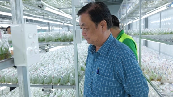 Phó Chủ tịch Quốc hội Lê Minh Hoan thăm HTX nông nghiệp công nghệ cao
