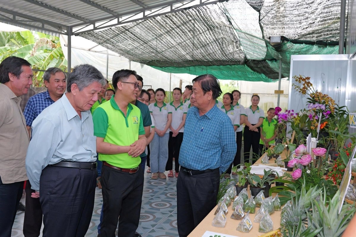 ທ່ານຮອງປະທານສະພາແຫ່ງຊາດ ເລມິນຮ່ວານ (ຂວາ) ແລະ ທ່ານເລຂາທິການໃຫຍ່ພັກແຂວງ ຫງວຽນຈີ໋ຈ້ອງ ໄດ້ໄປຢ້ຽມຢາມບັນດາຜະລິດຕະພັນຂອງສະຫະກອນ Kim Phat. ພາບ: ສະຫະກອນ ກິມພັດ. Phó Chủ tịch Quốc hội Lê Minh Hoan (bên phải) và Bí thư Tỉnh ủy Ngô Chí Cường cùng tham quan các sản phẩm của Hợp tác xã Kim Phát. Ảnh: HTX Kim Phát.