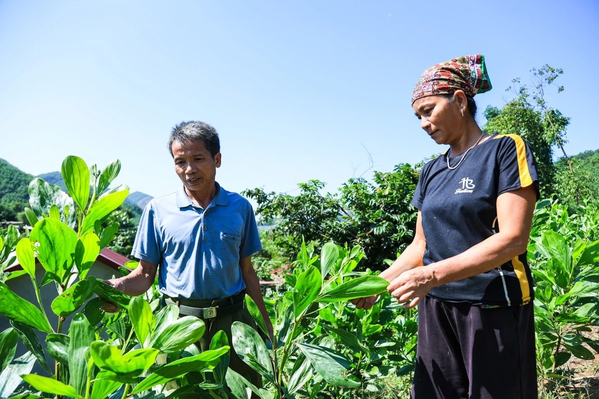 Luchando y superando dificultades en Lac Luong