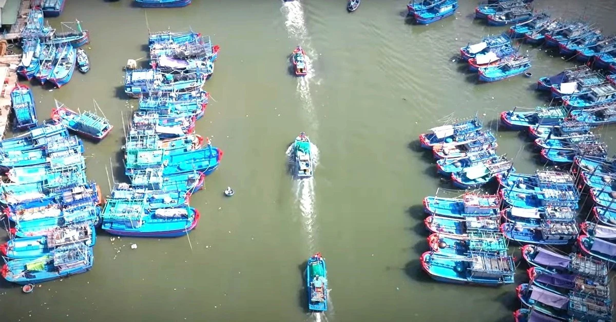 Hiện đại hóa cảng cá vì mục tiêu phát triển bền vững