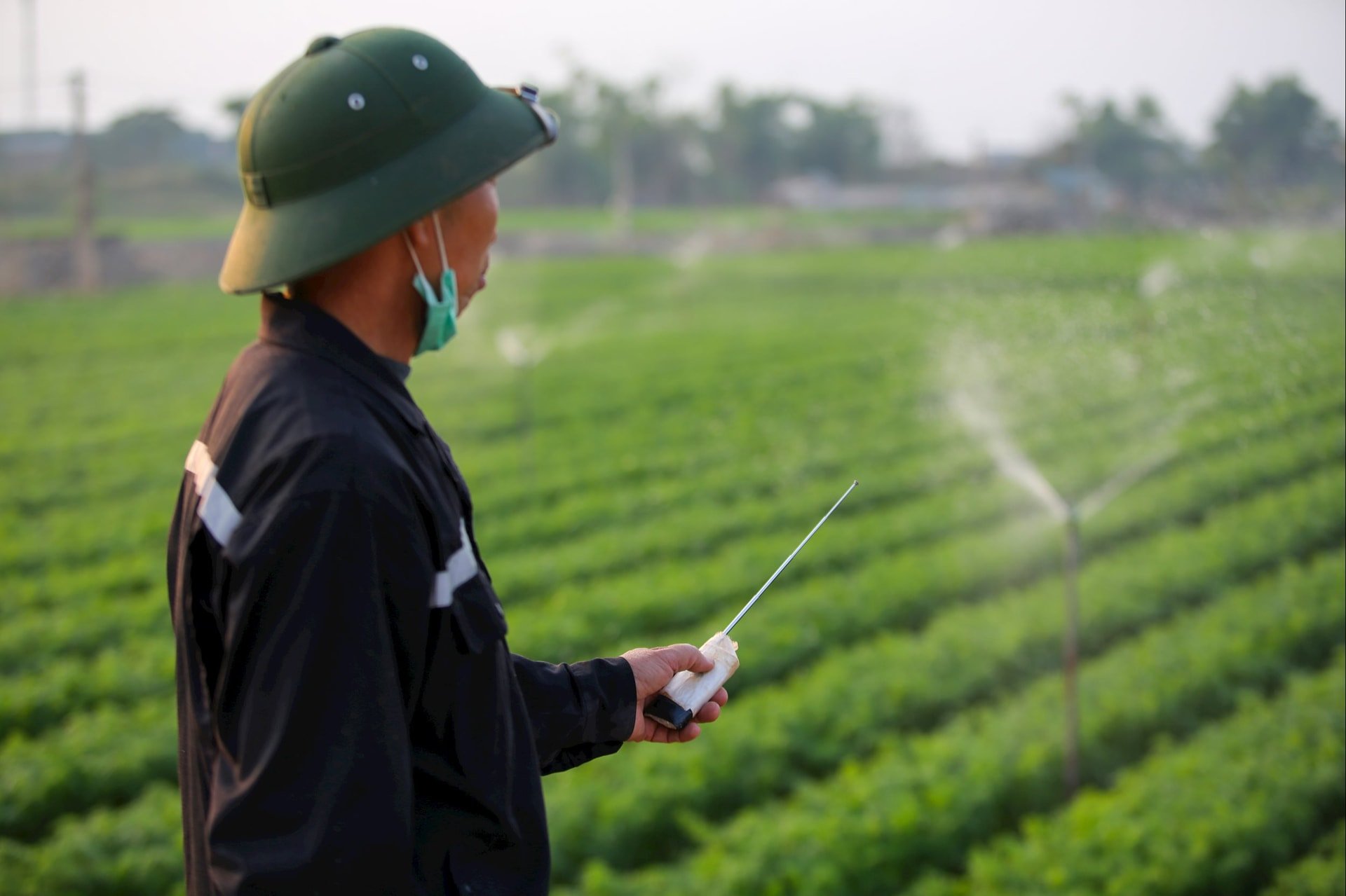 Nông dân Hải Phòng ứng dụng công nghệ trong sản xuất