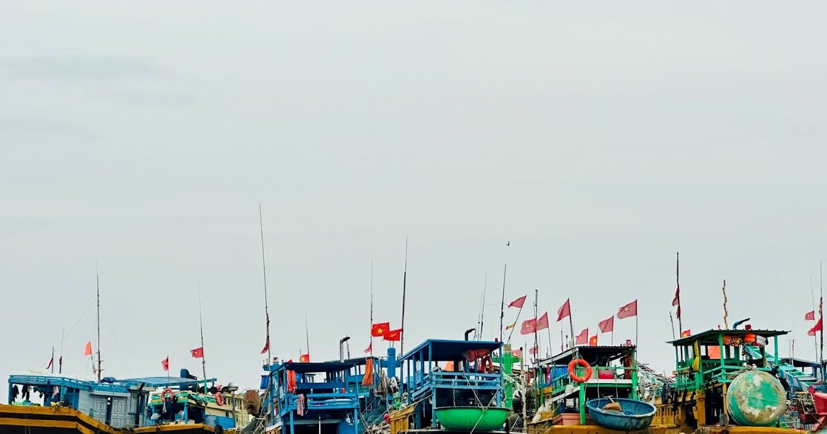 Triển khai hệ thống nhật ký khai thác thủy sản điện tử