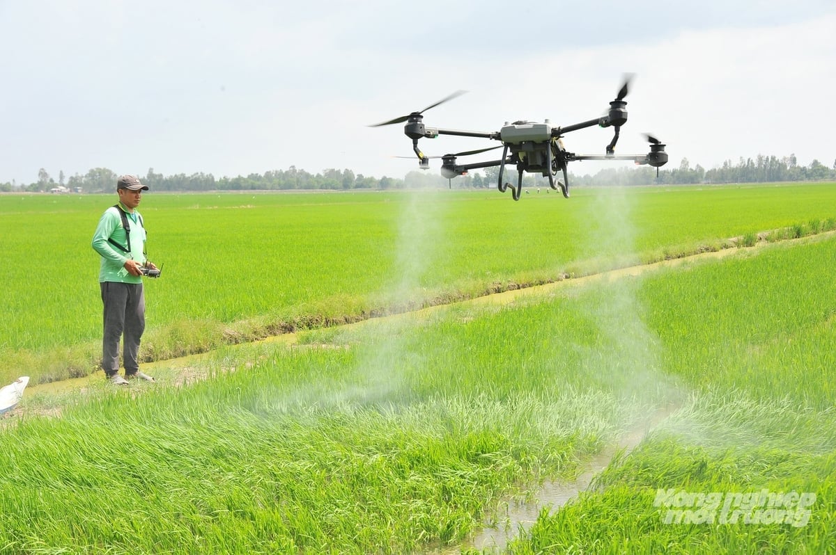 Nông dân Đồng Tháp ứng dụng máy bay không người lái trong quản lý dịch hại, giảm chi phí và nâng cao hiệu quả canh tác lúa. Ảnh: Lê Hoàng Vũ.