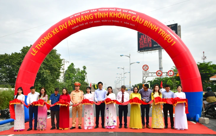 cầu Bình Triệu 1 - Ảnh 1.