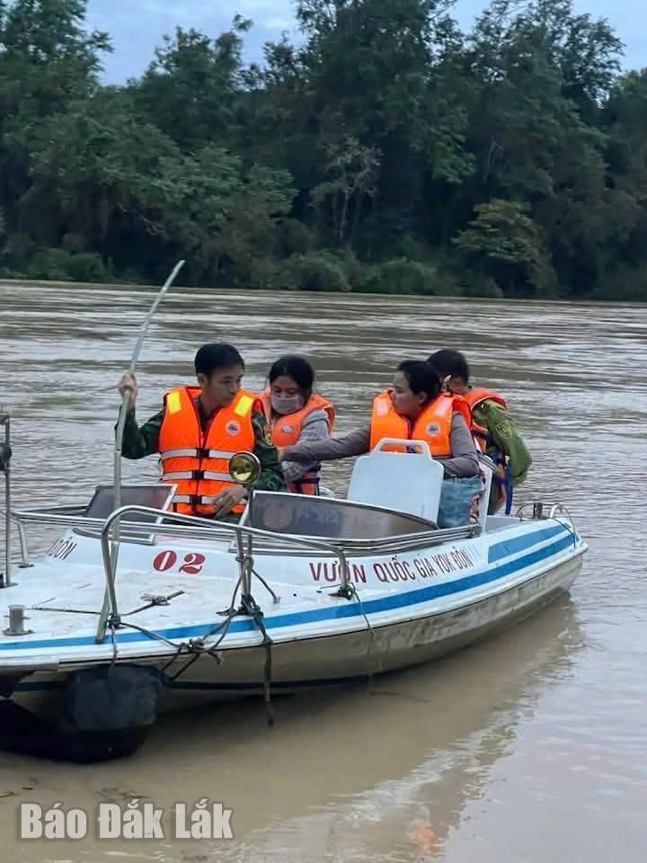 Силы использовали каноэ для транспортировки
