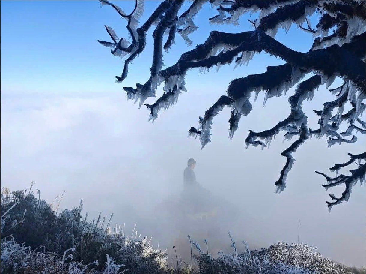 Khách thích thú check in đỉnh Fansipan phủ băng tuyết trắng như bông