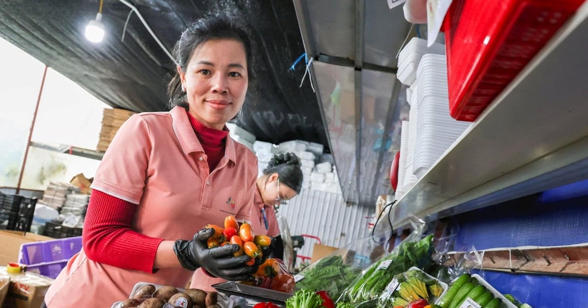 Hàng ngàn hecta rau màu chìm trong lũ, giá nông sản tiếp tục tăng vọt