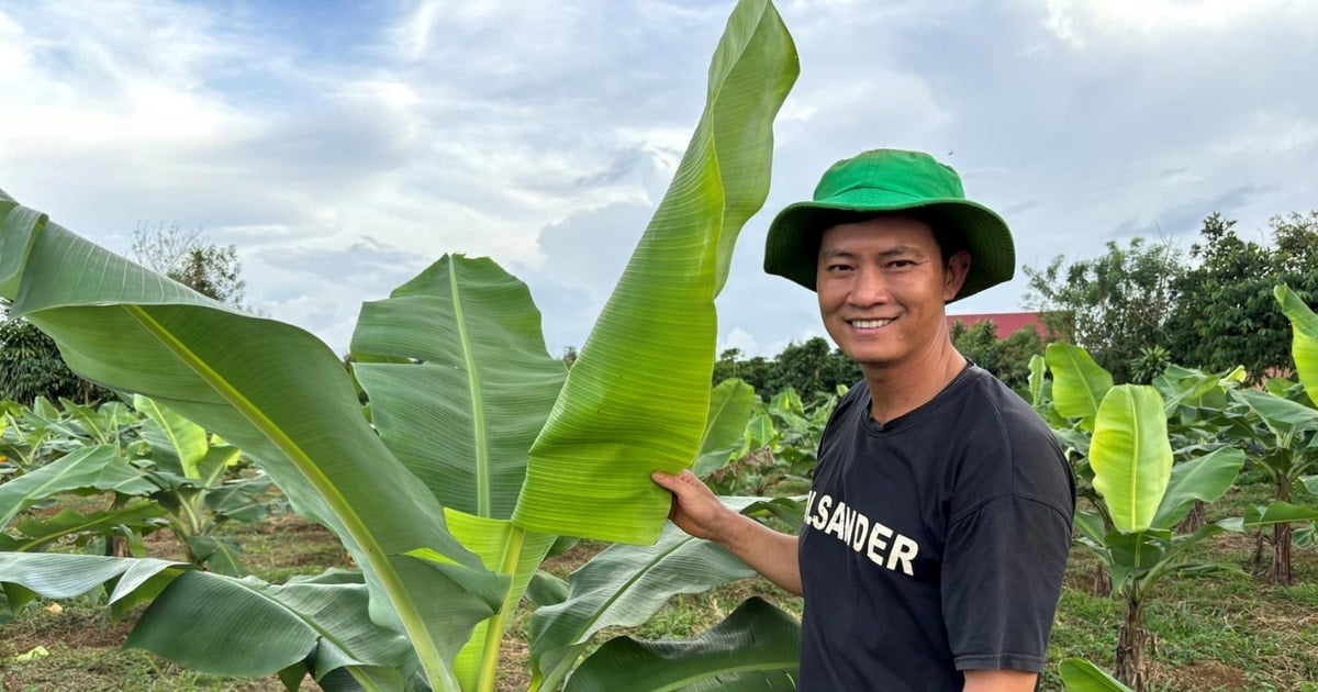 Lợi kép từ nông nghiệp 2 trong 1 ở xã vùng sâu Bảo Lâm 1