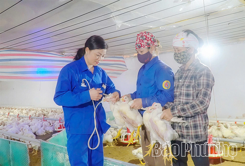 Поширення взірців для наслідування