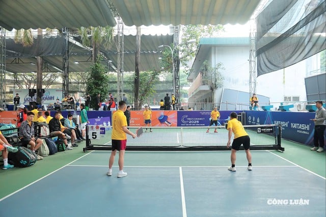 Giải pickleball 'Ước Mơ Xanh' hướng về đồng bào miền Trung và Tây nguyên - Ảnh 3.