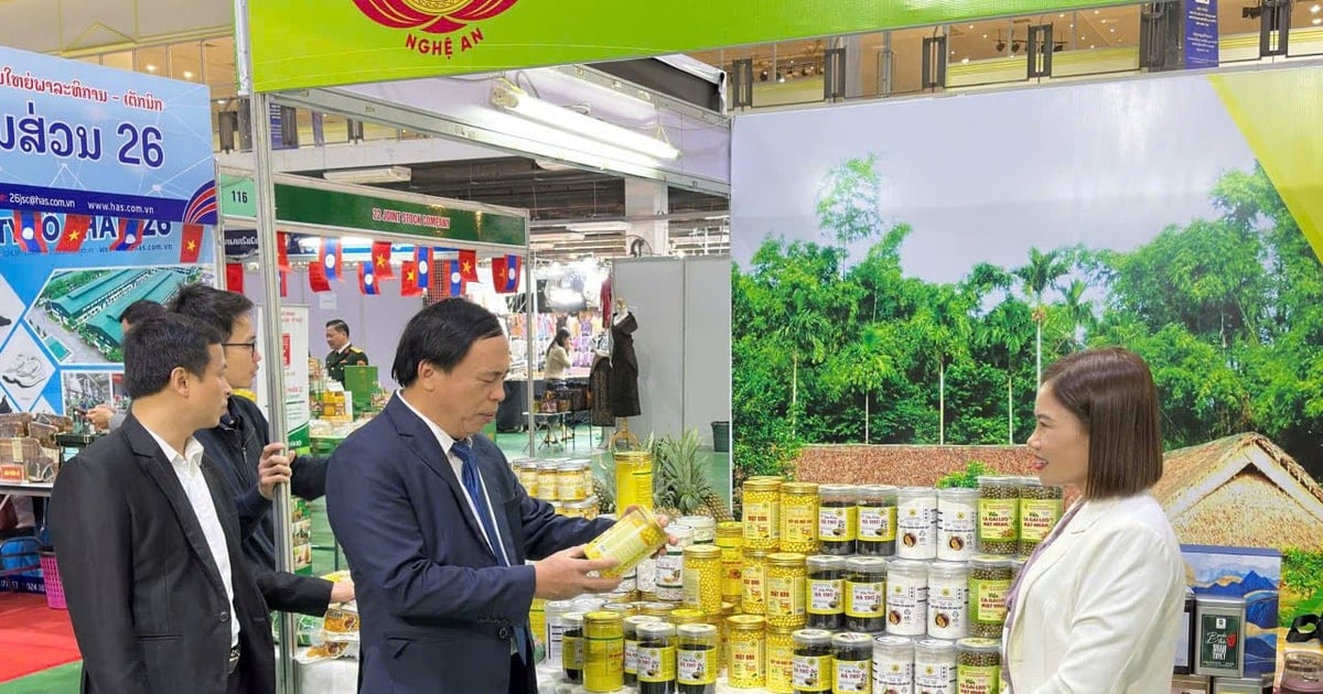 Nghệ An thúc đẩy thương mại biên giới qua Hội chợ Việt Nam - Lào 2025