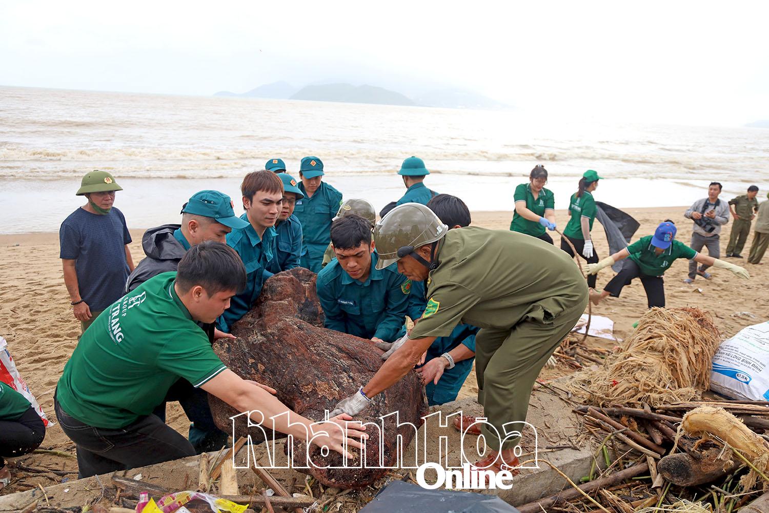 كما تم جمع جذوع الأشجار الكبيرة على الشاطئ.