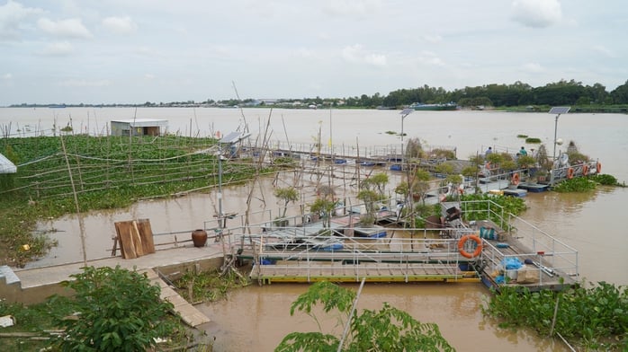 VIDEO: Nhiều người thay phiên 