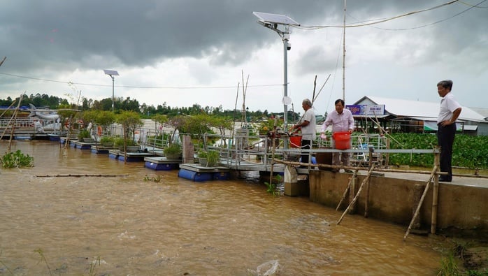 VIDEO: Nhiều người thay phiên 