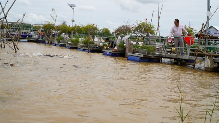 VIDEO: Nhiều người thay phiên 