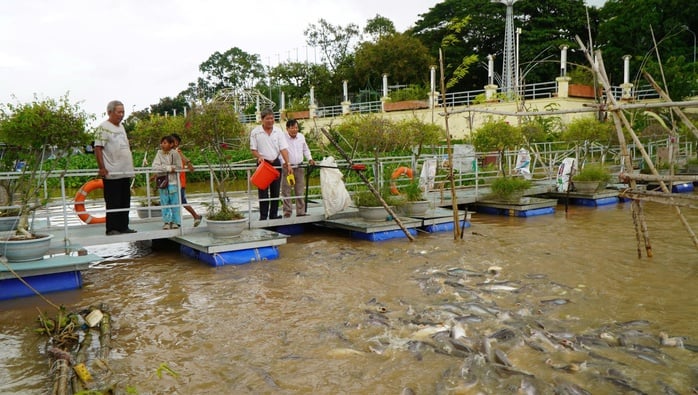 VIDEO: Nhiều người thay phiên 