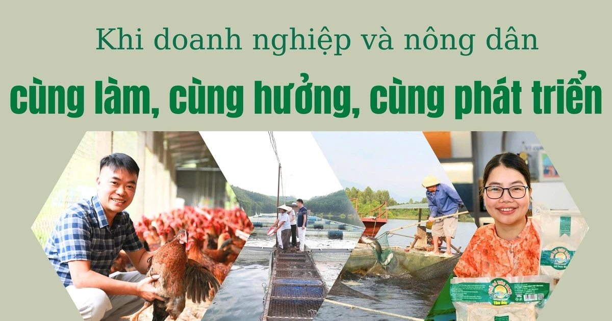 Khi doanh nghiệp và nông dân cùng làm, cùng hưởng, cùng phát triển