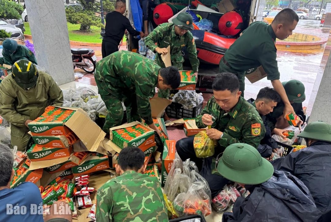 투이호아 국경수비대는 푸옌, 투이호아, 빈끼엔의 3개 구 주민들에게 필수품 공급을 지원하기 위해 병력을 계속 증강하고 있습니다.