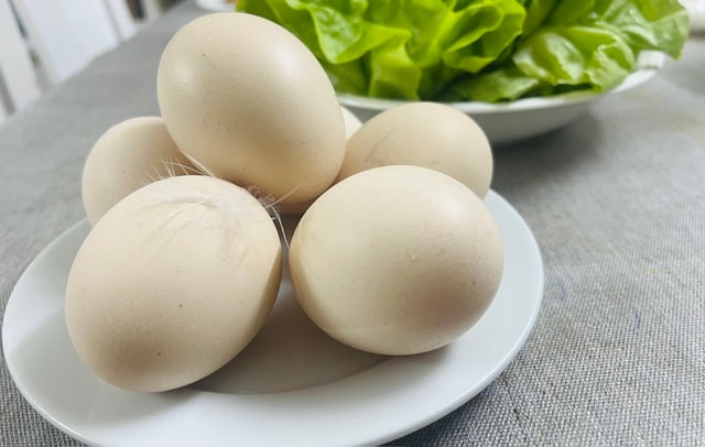 Ăn trứng có làm tăng cholesterol xấu?- Ảnh 1.