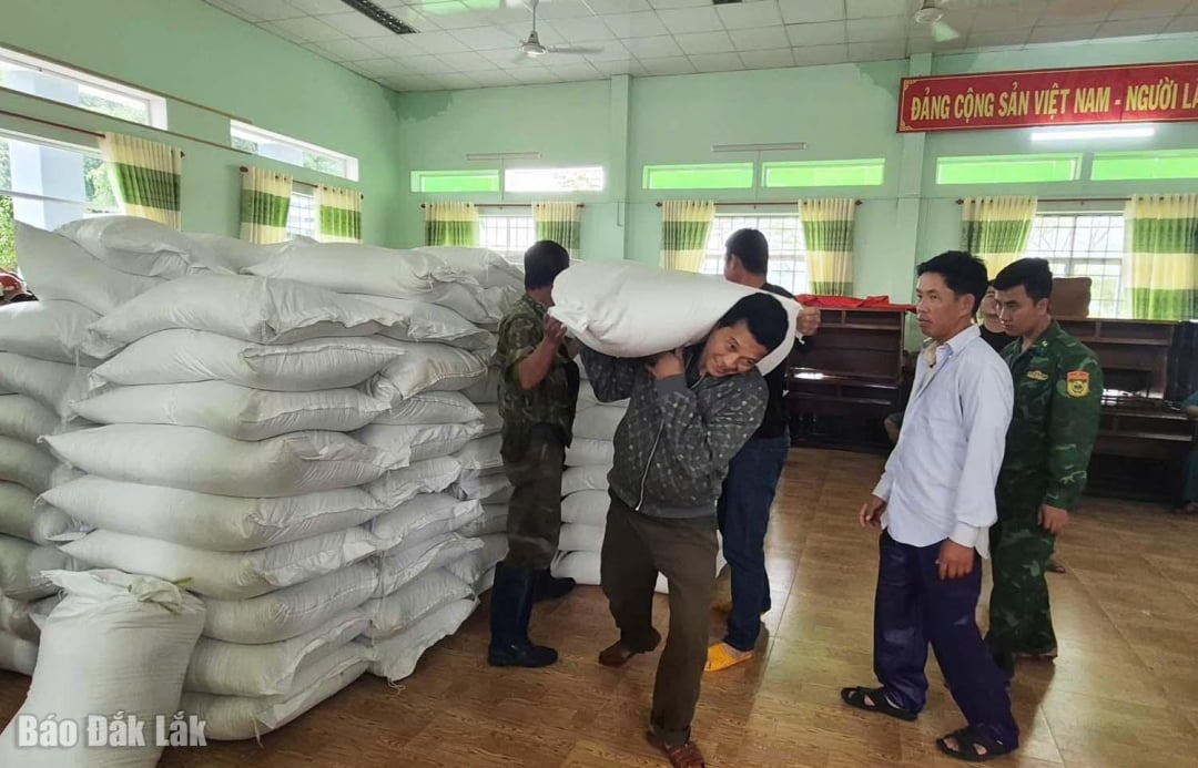 O apoio à distribuição de arroz foi realizado pela comuna de Tuy An Nam de forma rápida, imediata e transparente.