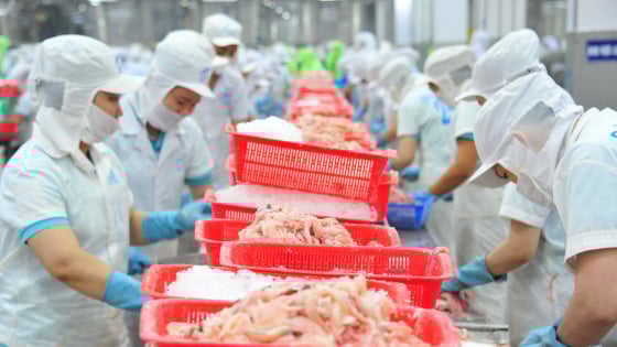 Đồng Tháp bứt phá thu ngân sách, hút đầu tư và tạo hơn 55.000 việc làm