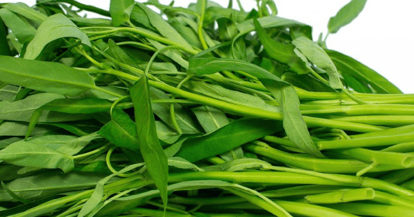 Loại rau thả lẩu hải sản khiến bổ dưỡng hơn, thơm ngon khó cưỡng, ngăn ngừa hấp thu chất béo