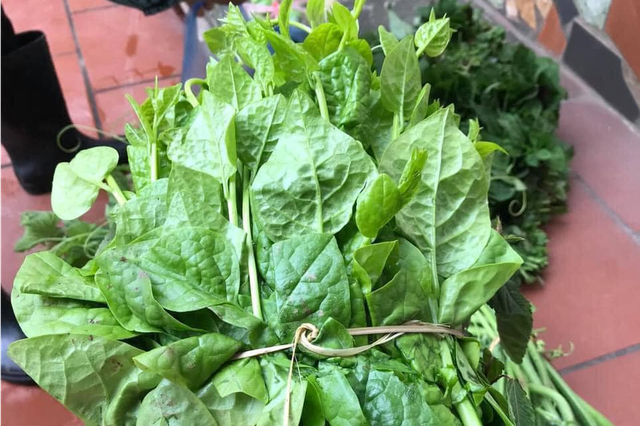 Loại rau thả lẩu hải sản thơm ngon khó cưỡng lại an toàn - Ảnh 4.