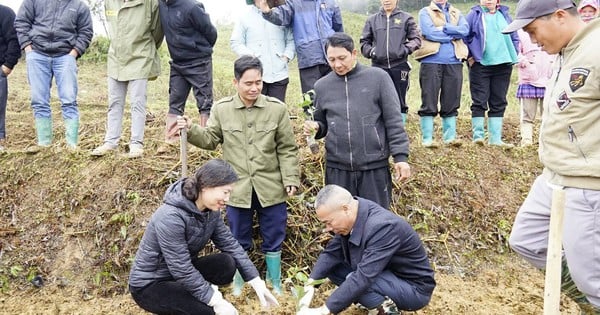 Lào Cai: Xã Bắc Hà phát động trồng cây chanh leo vàng, mở hướng phát triển kinh tế bền vững cho người dân vùng cao